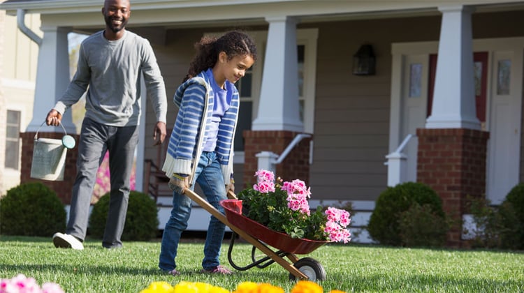Spring cleaning the yard? Follow these safety tips